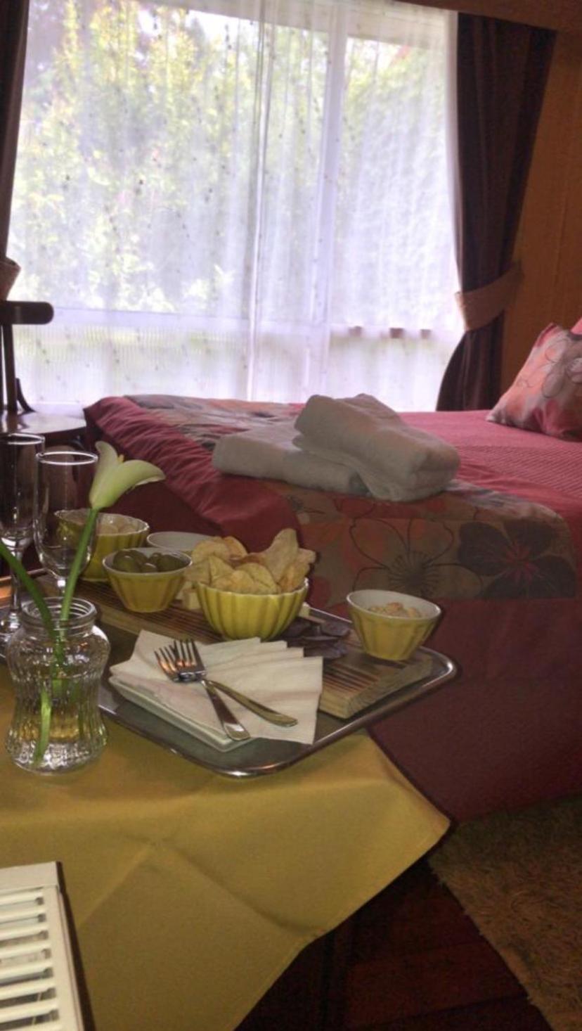 וולדיביה Hostal Del Muelle מראה חיצוני תמונה