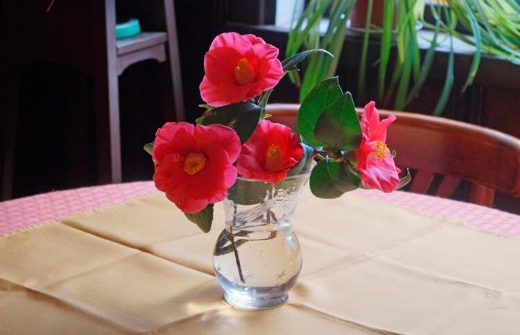 וולדיביה Hostal Del Muelle מראה חיצוני תמונה